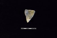 陶片藏品圖，第2張